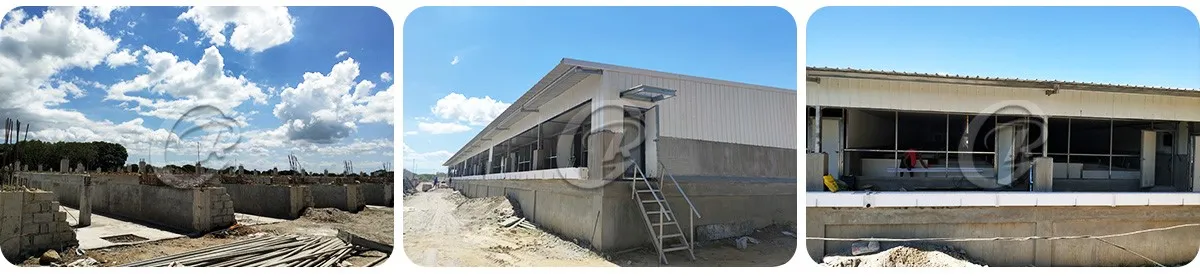 China steel structure pig House factory China steel structure pig House factory